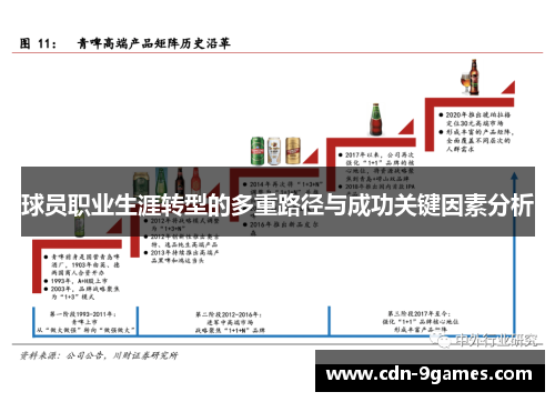 球员职业生涯转型的多重路径与成功关键因素分析